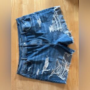 90’s Boyfriend Shorts | Size 20
